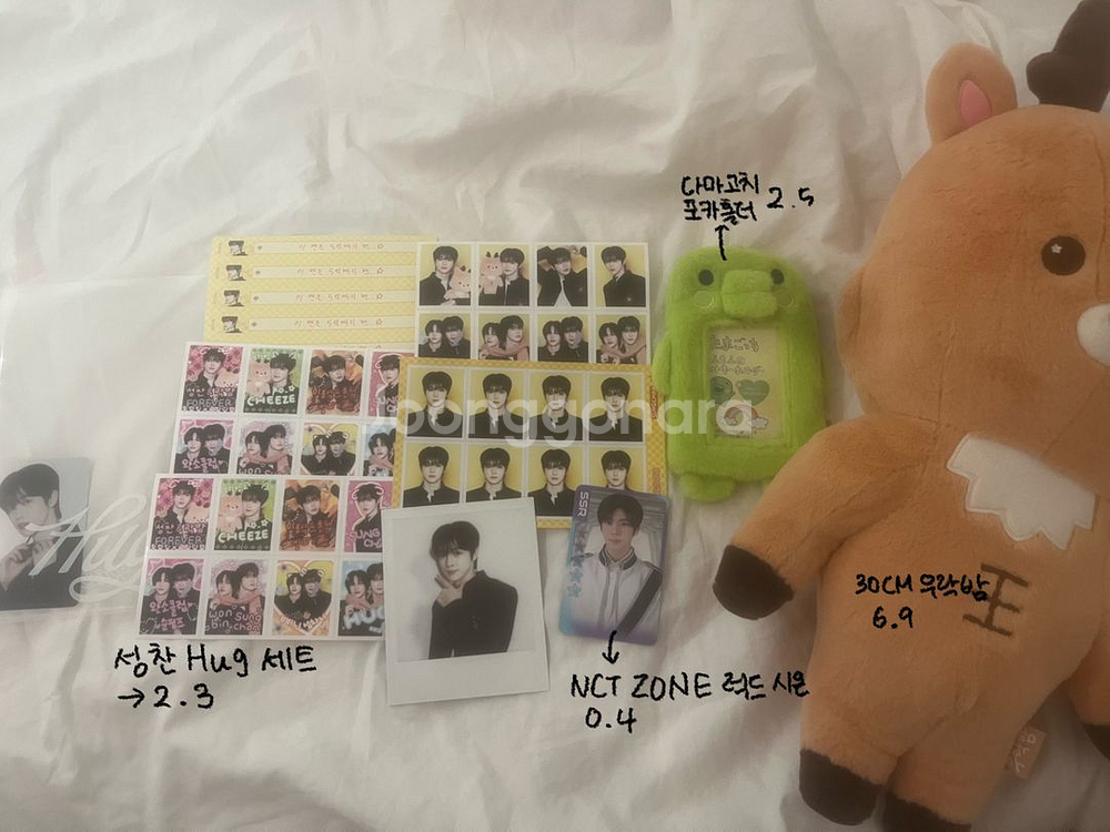 엔시티 위시 리쿠 라이즈 성찬 엔시티 드림 제노 굿즈--2