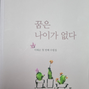 꿈은 나이가 없다 [이태순 수필집]