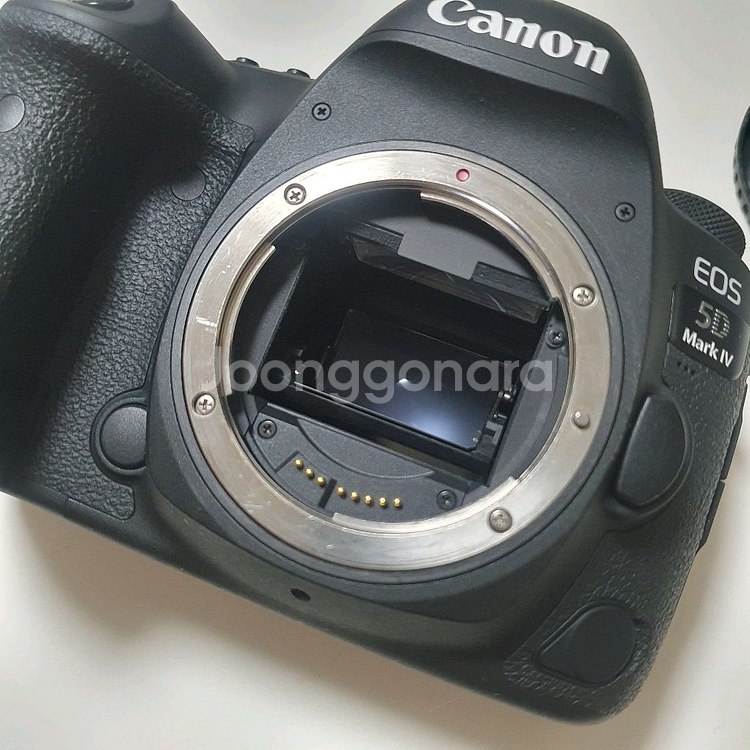 캐논 5d mark4--5