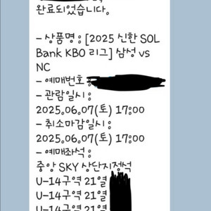 6/7(토) 삼성라이온즈 vs nc 중앙sky상단
