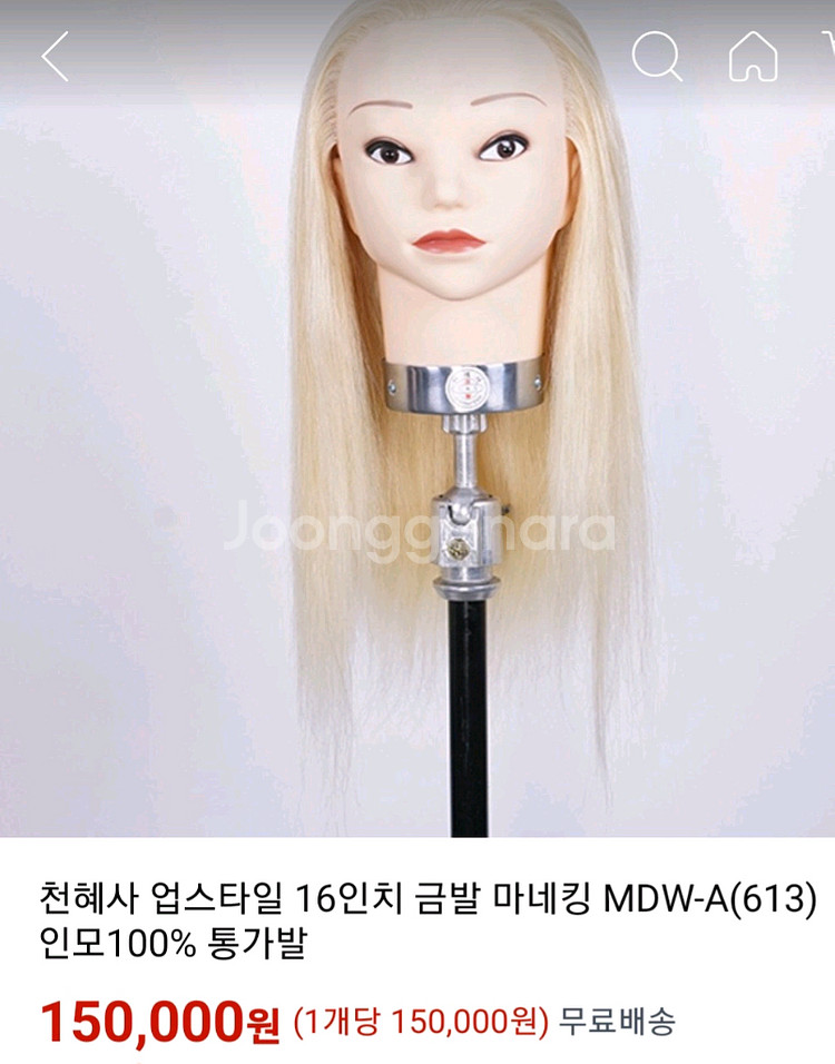 천혜인 금발 통가발 인모100%--3