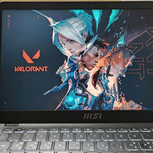 MSI 모던14 초경량 울트라북/라이젠5,512G
