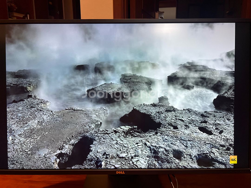 (네고 가능) 델 Dell P4317q 43인치 모니터--7