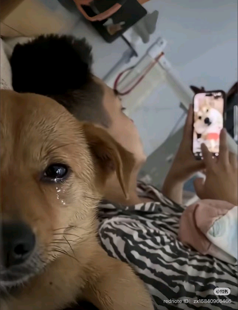 스팀게임 스팀선물 스팀월렛 삽니다 | 중고나라 - 안심되는 중고거래