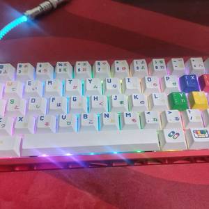 HM61Z 자석축 래피드트리거 키보드 HOLY60빌드