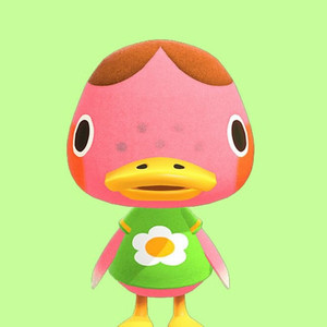 글루민 솔미 결제창