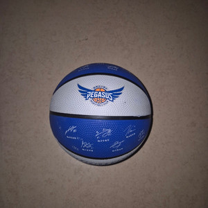 대구한국가스공사 페가수스 싸인볼 3호