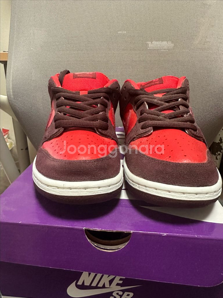 나이키 sb 체리 조던--1