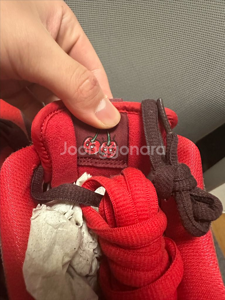 나이키 sb 체리 조던--5