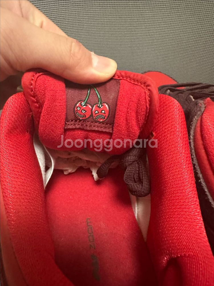 나이키 sb 체리 조던--4