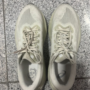 아식스 슈퍼블라스트2 260