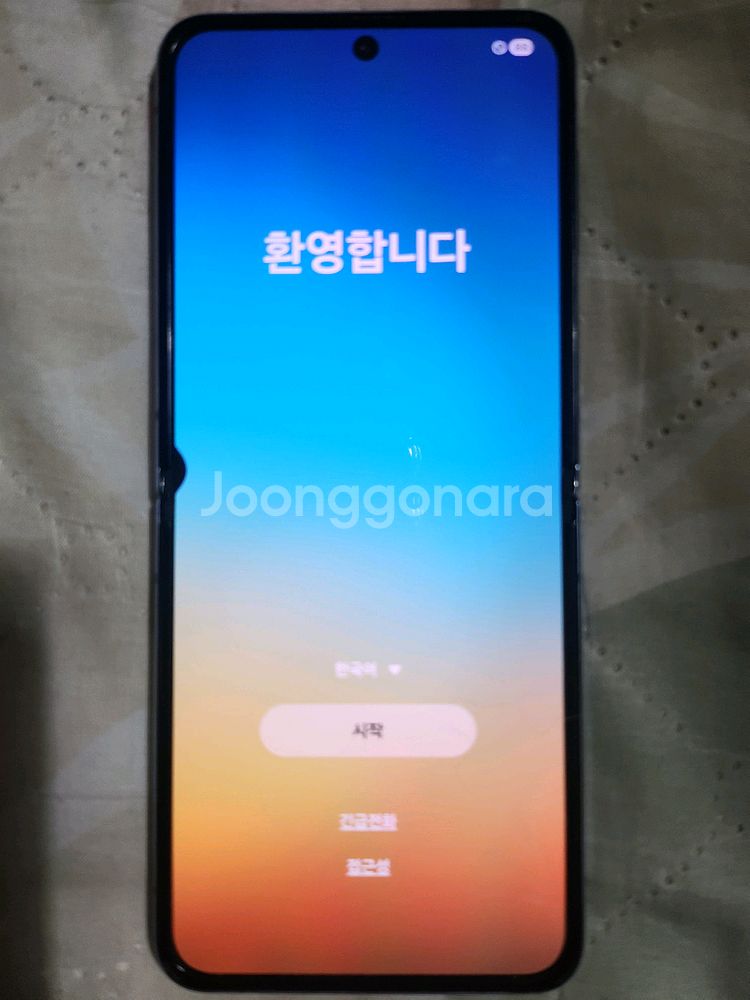 플립4--1