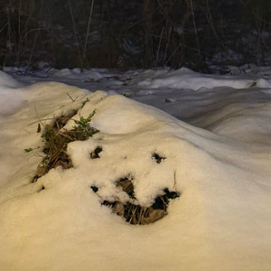 쁘띠라뺑 스윙도어 삽니다