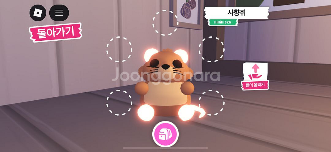 입양하세요 네온 사향쥐--0