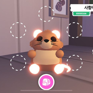 입양하세요 네온 사향쥐
