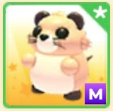 입양하세요 신규 ㅍㅍ--0