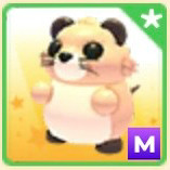 입양하세요 신규 ㅍㅍ