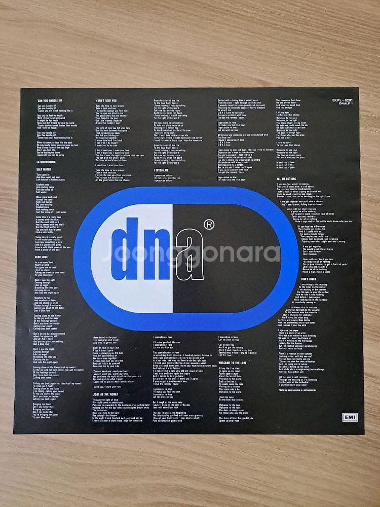 DNA(수잔 베가)LP 음반--3