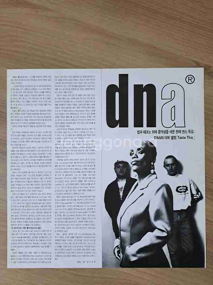 DNA(수잔 베가)LP 음반--2