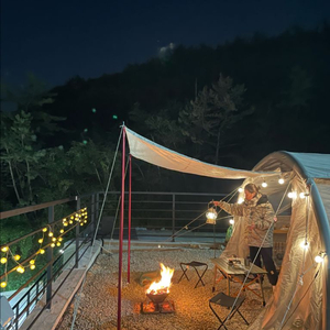 제드 티맥스 에어텐트 샴페인골드