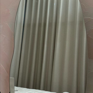 비정형 거울팝니다(전신거울)