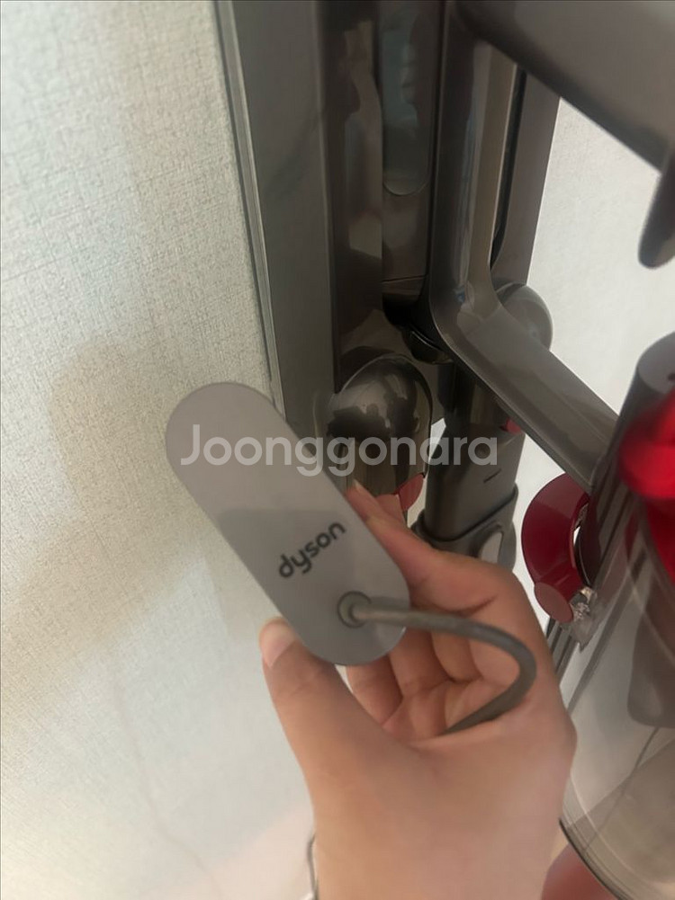 다이슨 V10 판매--2
