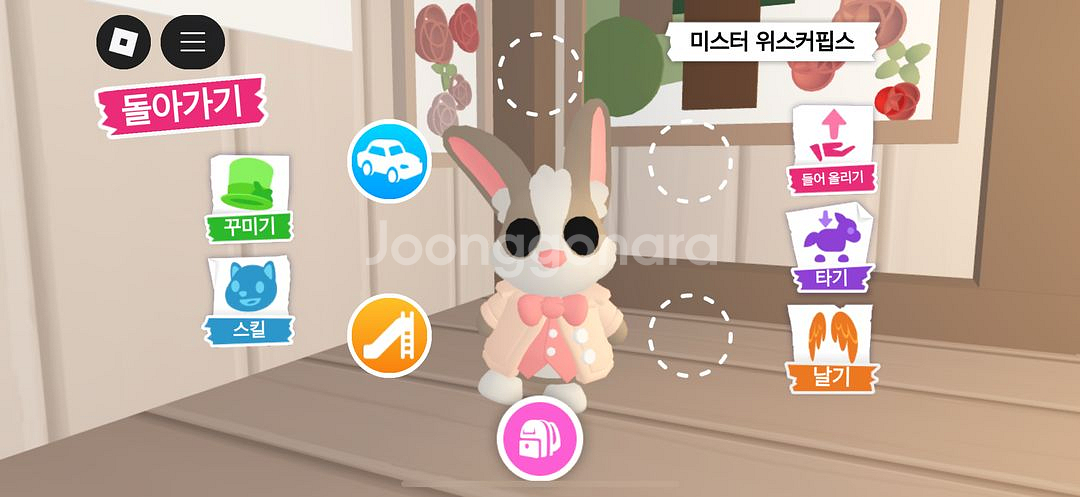 입양하세요 미스터위스커핍스--0