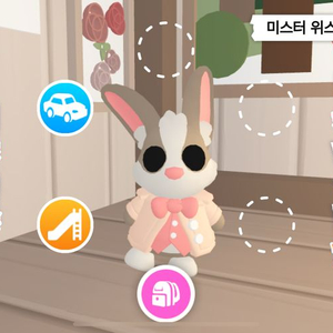 입양하세요 미스터위스커핍스