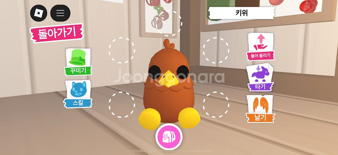 입양하세요 키위새--0