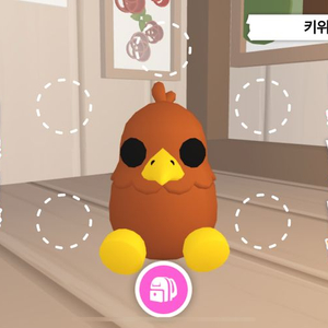 입양하세요 키위새