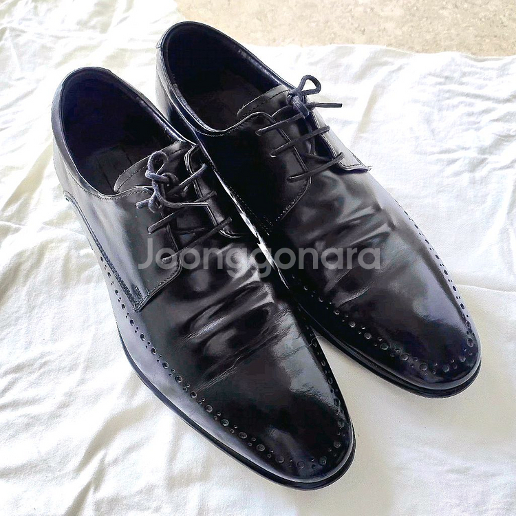 에스콰이어 포트폴리오 구두 블랙 260--0