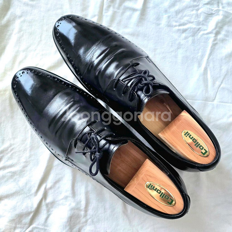 에스콰이어 포트폴리오 구두 블랙 260--6