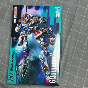 지쿠악스 hg