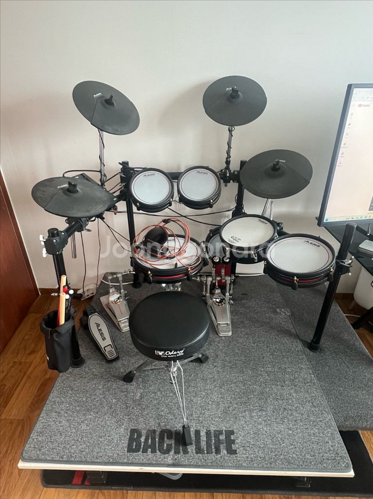 알레시스 (Alesis) 크림슨 메쉬 스페셜 에디션 +--0