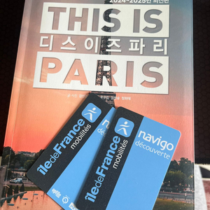 디스이즈 파리