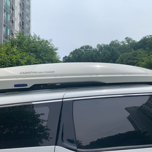 올뉴카니발 루프박스 팝니다