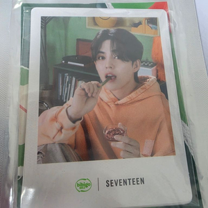 세븐틴 비비고 스냅포토