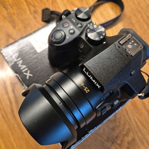 루믹스fz300