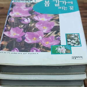 책 3권
