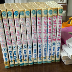 만화책 러브몬스터 1-12 완결 (대여용)