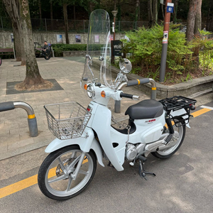 혼다 슈퍼커브110 화이트