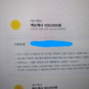 넥슨캐시 10만원