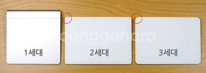 트리와 애플매직패드 트레이--1