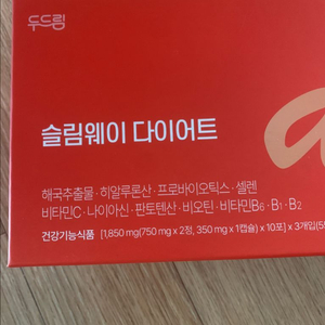 솔비다이어트