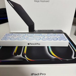 아이패드 프로 m4 11인치 + 매직키보드