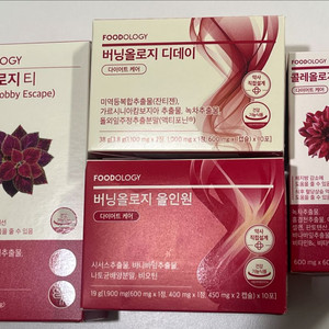 톡스올로지 콜레티 콜레컷 버닝올로지 디데이 올인원