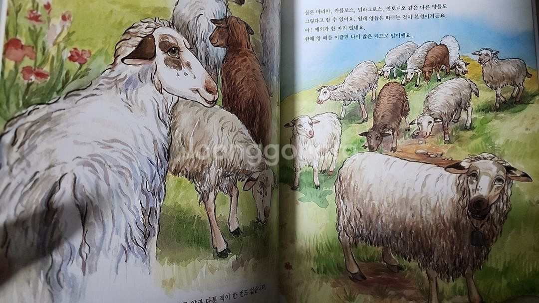 대교 아이성장 그림책 택포2.0--1