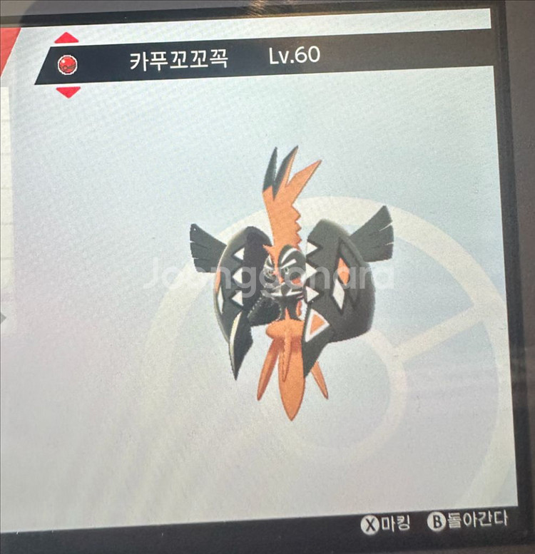이로치 카푸꼬꼬꼭 나비나 느지느 브루루 포켓몬스터 소드--2