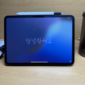 아이패드 프로 M4 셀룰러 11인치 256GB