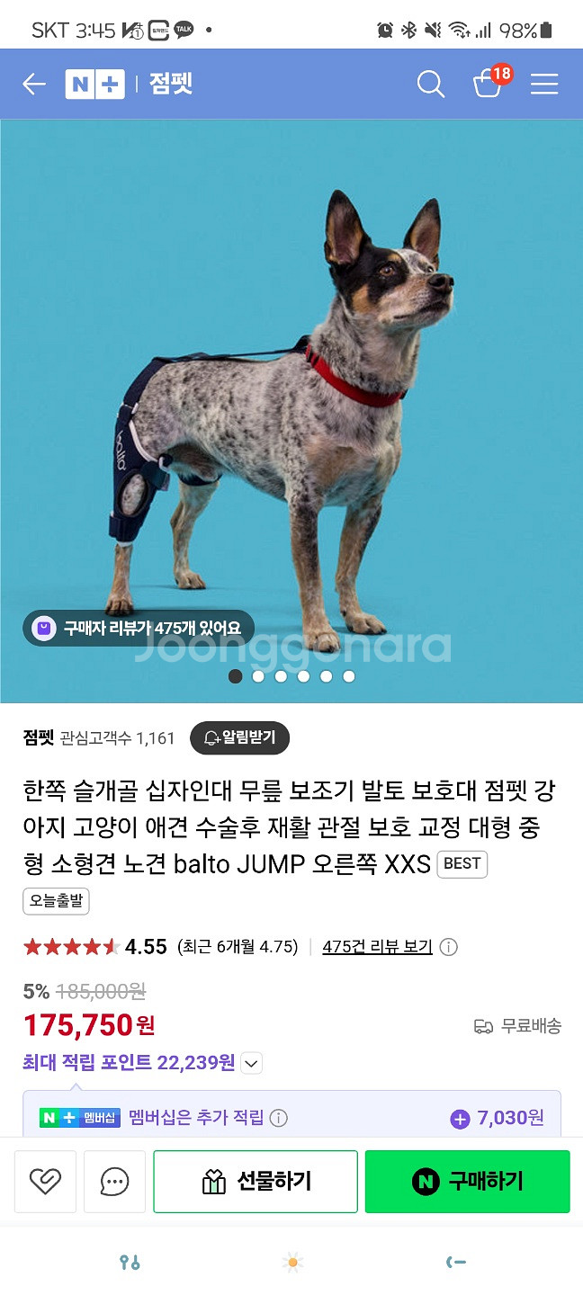 balto 강아지 보조기--3